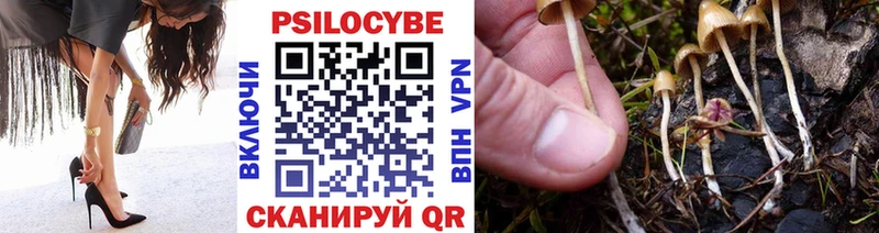 Галлюциногенные грибы прущие грибы  наркотики  OMG как зайти  Мариинск 